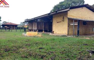 Imagem 7: Ótimo Sítio na Cidade de Capela do Alto a 1 Km do asfalto