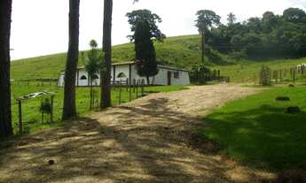 Imagem 2: FAZENDA RURAL em Itapetininga - SP, Zona Rural