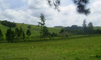 Imagem 5: FAZENDA RURAL em Itapetininga - SP, Zona Rural