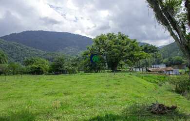 Imagem 2: Excelente terreno em Rio dos Cedros