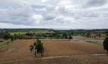 Imagem 4: 1000M² de Área Total