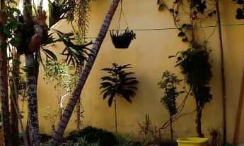 Imagem 5: CASA COMERCIAL em Arraial do Cabo - RJ, Macedonia