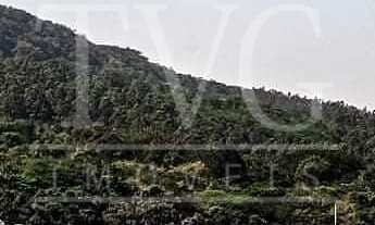 Imagem 3: TERRENO COMERCIAL em Osório - RS, Aguapés