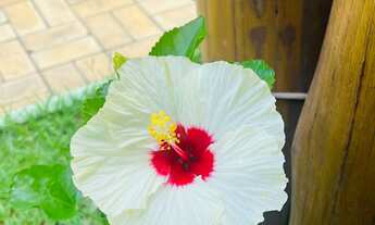 Imagem 2: CASA RESIDENCIAL em PORTO SEGURO - BA, ARRAIAL DAJUDA