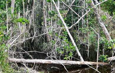 Imagem 6: TERRENO RESIDENCIAL em PORTO SEGURO - BA, ARRAIAL D´AJUDA