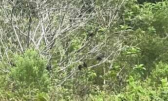 Imagem 2: AREA RESIDENCIAL em TRANCOSO - BA, TRANCOSO