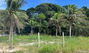Imagem 3: TERRENO COMERCIAL em PORTO SEGURO - BA, TRANCOSO