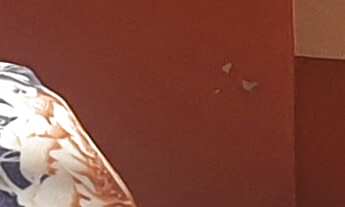 Imagem 2: CASA RESIDENCIAL em SOROCABA - SP, JARDIM SÃO PAULO