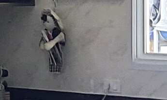 Imagem 5: CHACARA RURAL em SOROCABA - SP, BRIGADEIRO TOBIAS