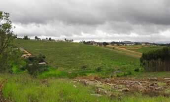 Imagem 5: TERRENO RURAL em Pinhalzinho - SP, Jardim do Pinhal
