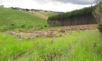 Imagem 7: TERRENO RURAL em Pinhalzinho - SP, Jardim do Pinhal