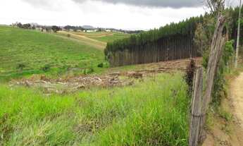 Imagem 2: TERRENO RURAL em Pinhalzinho - SP, Jardim do Pinhal