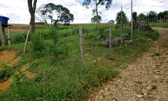 Imagem 3: TERRENO RESIDENCIAL em Pinhalzinho - SP, Bairro do Batista