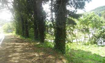 Imagem 3: TERRENO COMERCIAL em Nova Petropolis - RS, Piá