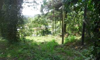 Imagem 4: TERRENO COMERCIAL em Nova Petropolis - RS, Piá