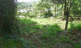 Imagem 7: TERRENO COMERCIAL em Nova Petropolis - RS, Piá