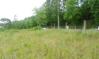 Imagem 5: TERRENO COMERCIAL em Picada Café - RS, Picada Holanda