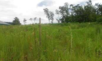 Imagem 5: TERRENO RESIDENCIAL em Picada Café - RS, Joaneta