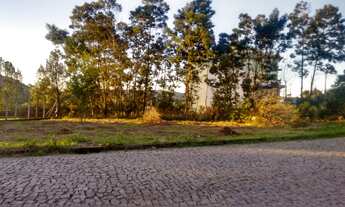 Imagem: TERRENO RESIDENCIAL em Nova Petrópolis
