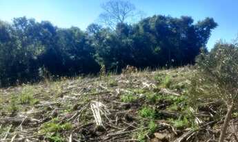 Imagem 3: TERRENO RESIDENCIAL em Picada Café - RS, São João