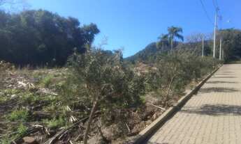 Imagem 4: TERRENO RESIDENCIAL em Picada Café - RS, São João