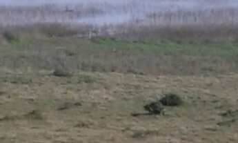 Imagem 5: FAZENDA RURAL em Arroio do Sal - RS, Estrada do Mar