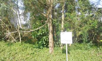 Imagem 2: TERRENO RESIDENCIAL em NOVA PETRÓPOLIS - RS, Recanto dos Plátanos