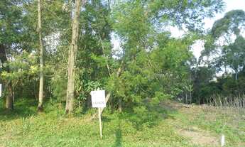 Imagem 3: TERRENO RESIDENCIAL em NOVA PETRÓPOLIS - RS, Recanto dos Plátanos