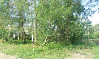 Imagem 4: TERRENO RESIDENCIAL em NOVA PETRÓPOLIS - RS, Recanto dos Plátanos