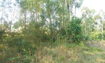 Imagem 5: TERRENO RESIDENCIAL em NOVA PETRÓPOLIS - RS, Recanto dos Plátanos