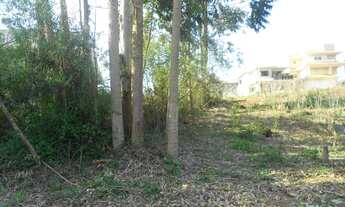 Imagem 6: TERRENO RESIDENCIAL em NOVA PETRÓPOLIS - RS, Recanto dos Plátanos