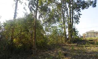 Imagem 7: TERRENO RESIDENCIAL em NOVA PETRÓPOLIS - RS, Recanto dos Plátanos