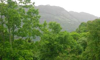 Imagem 6: TERRENO RESIDENCIAL em NOVA PETRÓPOLIS - RS, Bavária