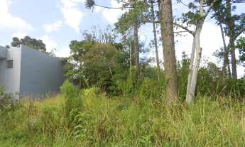 Imagem 4: TERRENO COMERCIAL em Nova Petropolis - RS, Vila Germania