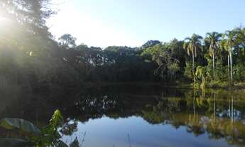 Imagem: AREA RURAL em Nova Petropolis - RS, Pinhal