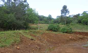 Imagem 4: SITIO RURAL em Nova Petropolis - RS, Linha Olinda