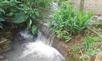 Imagem 2: SITIO RURAL em Nova Petropolis - RS, Linha Olinda
