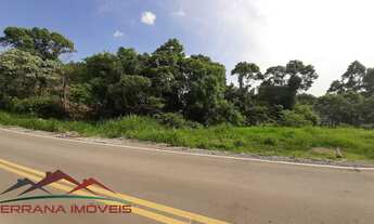 Imagem: AREA RURAL em Nova Petrópolis - RS, Linha