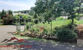 Imagem 3: TERRENO RESIDENCIAL em Picada Café - RS, Alto da colina