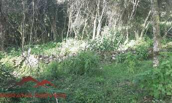 Imagem 4: AREA RURAL em Linha Nova - RS, Linha Olinda