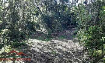 Imagem: AREA RURAL em NOVA PETRÓPOLIS - RS, Ninho