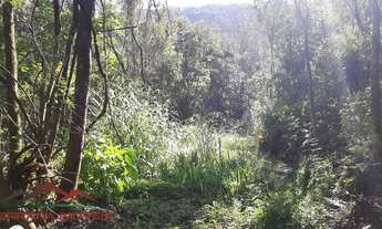 Imagem 2: AREA RURAL em NOVA PETRÓPOLIS - RS, Ninho das Águias