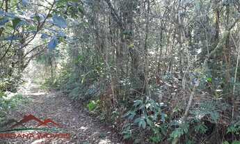 Imagem 4: AREA RURAL em NOVA PETRÓPOLIS - RS, Ninho das Águias