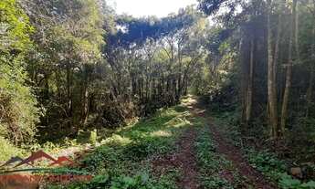 Imagem 6: AREA RURAL em NOVA PETRÓPOLIS - RS, Ninho das Águias