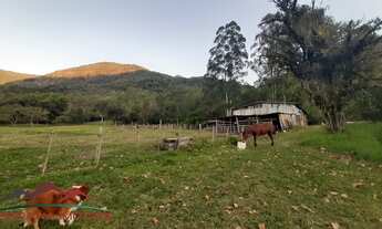 Imagem 2: AREA RURAL em Nova Petrópolis - RS, Linha Temerária