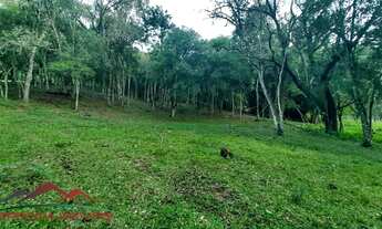 Imagem 6: AREA RURAL em Nova Petrópolis - RS, Linha Temerária