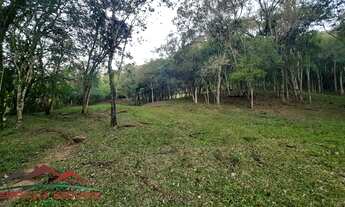 Imagem 7: AREA RURAL em Nova Petrópolis - RS, Linha Temerária