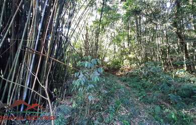 Imagem 2: AREA RURAL em NOVA PETRÓPOLIS - RS, Linha Brasil