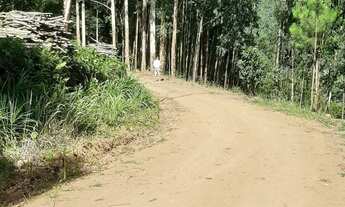 Imagem: AREA RURAL em PICADA CAFÉ - RS, BR 116