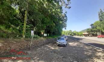 Imagem 2: TERRENO COMERCIAL em PICADA CAFÉ - RS, BR 116